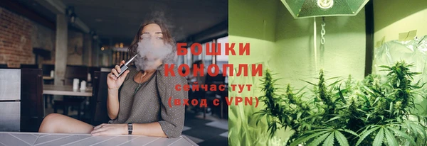 стаф Белокуриха