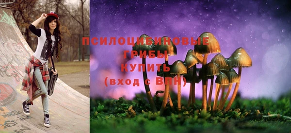 ГАЛЛЮЦИНОГЕННЫЕ ГРИБЫ Белоозёрский