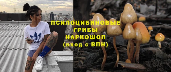 стаф Белокуриха
