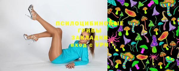 стаф Белокуриха