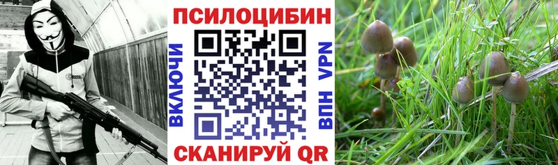 Галлюциногенные грибы прущие грибы  купить наркоту  hydra маркетплейс  Гремячинск 